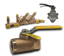 Apollo Valves Variety Group